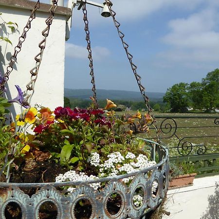 Dean Valley Panorama Bed & Breakfast Lydney Εξωτερικό φωτογραφία