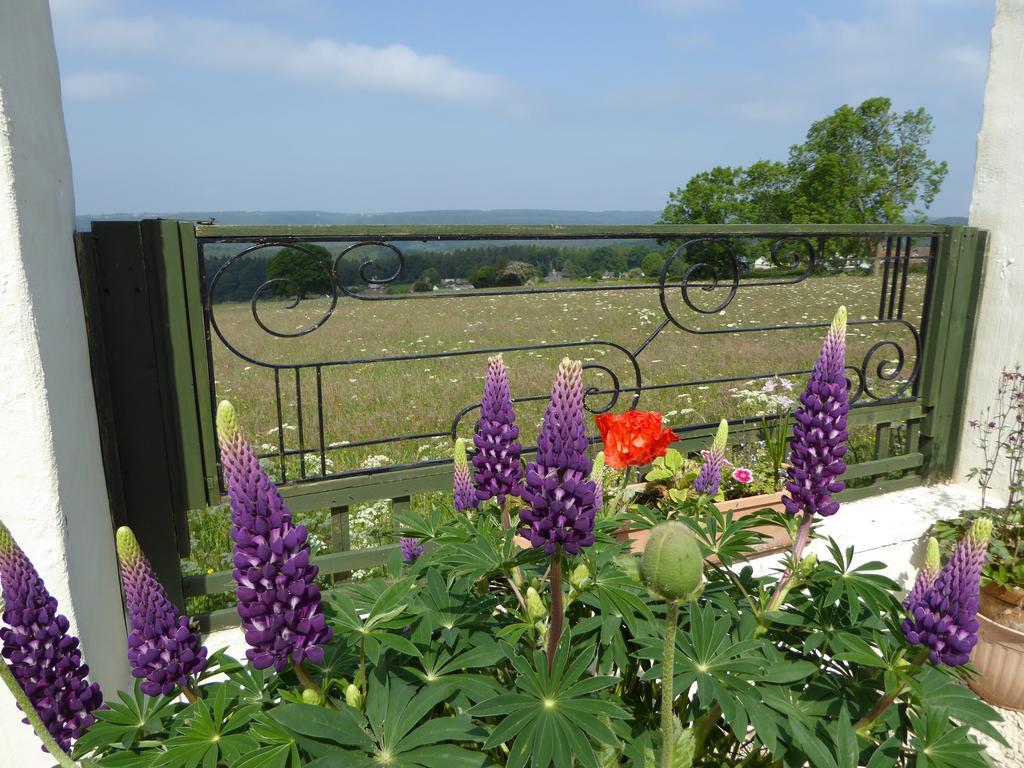 Dean Valley Panorama Bed & Breakfast Lydney Εξωτερικό φωτογραφία