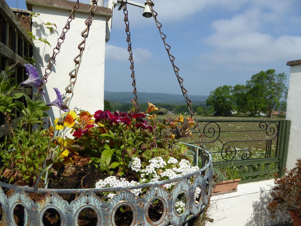 Dean Valley Panorama Bed & Breakfast Lydney Εξωτερικό φωτογραφία