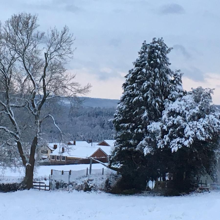 Dean Valley Panorama Bed & Breakfast Lydney Εξωτερικό φωτογραφία
