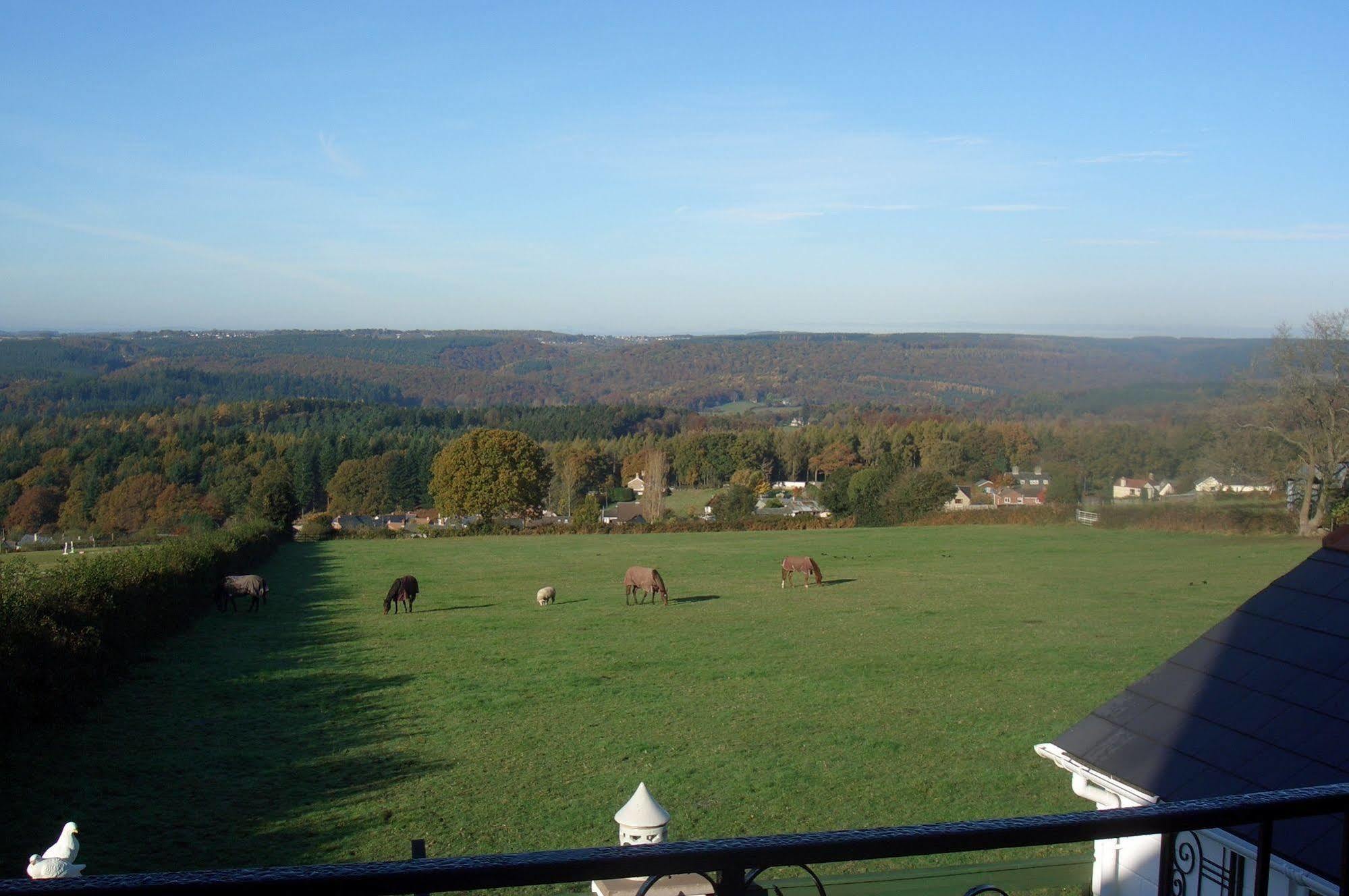 Dean Valley Panorama Bed & Breakfast Lydney Εξωτερικό φωτογραφία